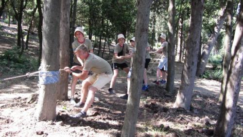 IMG-ad6be7274d4540c41ee34c57e808b50c-V